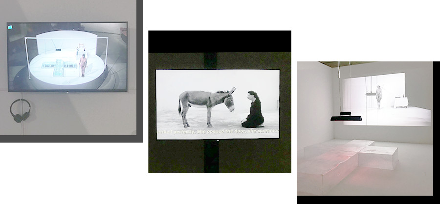 Marina Abramović 的作品