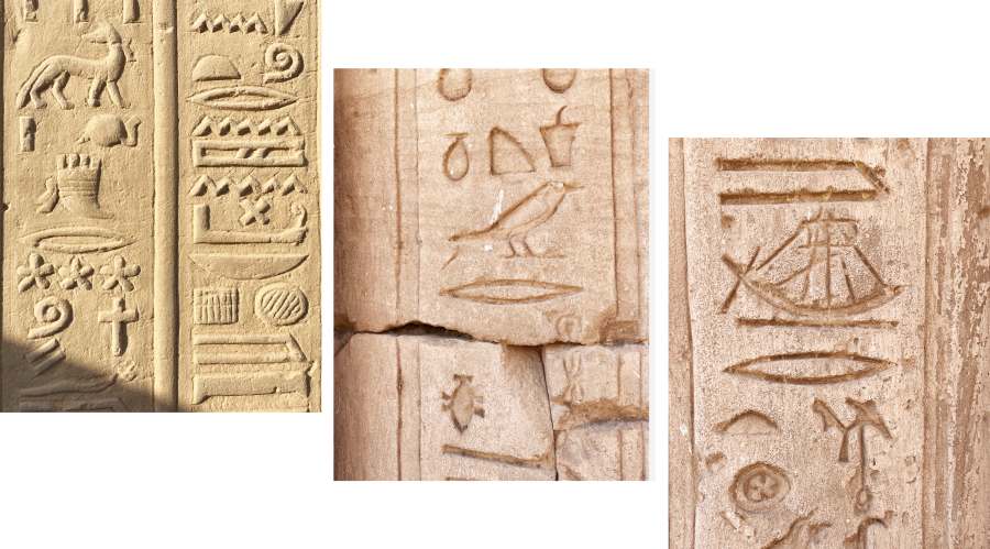 還真的被我們找到像珍珠奶茶、捕魚器或酒杯，這樣的小趣味，為神殿增添了些輕鬆氣息