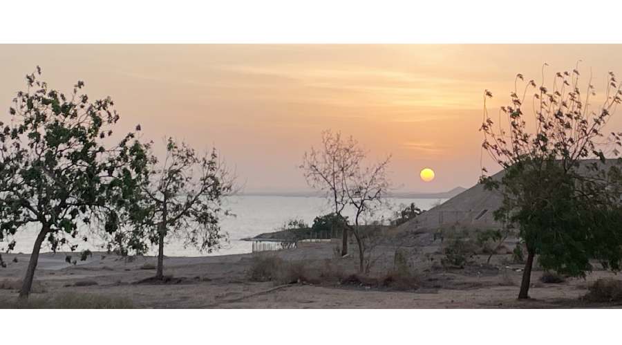 大約五點一刻，天終於微亮。陽光從遠方滲出，沙漠泛起一層金粉