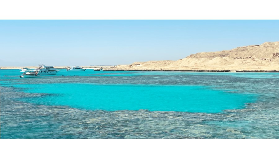 期末考的重點，是在各種海底意外情境中保持冷靜