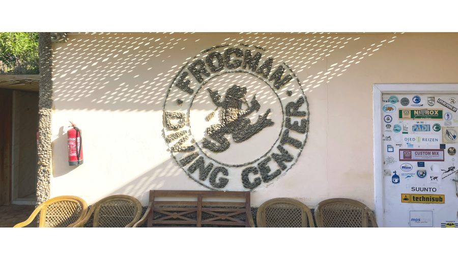因為收穫良多、體驗佳，所以無私推薦胡佳達 Hurghada 潛水首選：Frogman Diving Centre