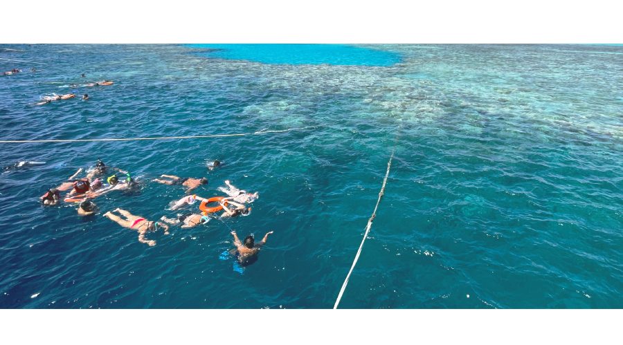 能見度好到驚人，平均可達 20–50 公尺