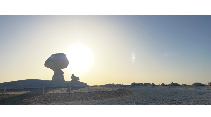 啟程返回旅館，旅途中還安排了兩個人文與自然的小驚喜。