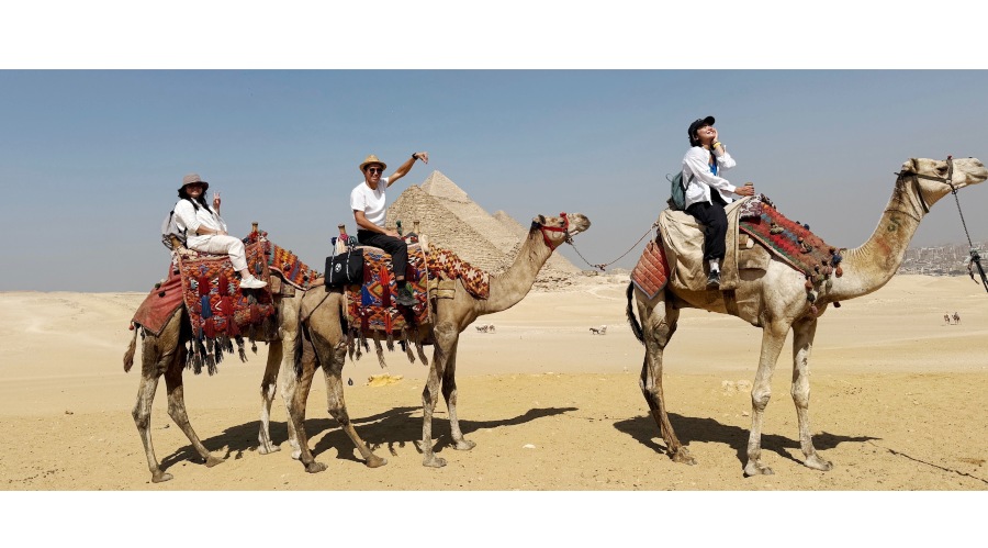 在埃及騎駱駝