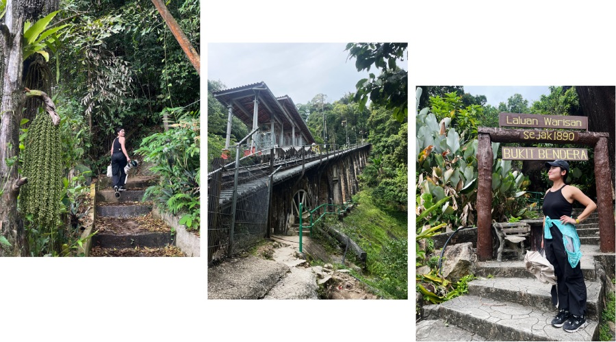 濕熱的空氣被高度過濾成芬多精，這場免費的熱帶雨林 SPA，只有走路的人才知道