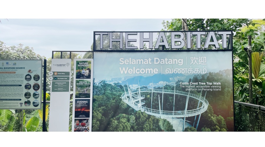 走上海拔 833 公尺的圓弧形空中步道 (Curtis Crest Tree Top Walk)。這裡沒有纜車的嘈雜，只有 360 度被熱帶雨林包圍的靜謐