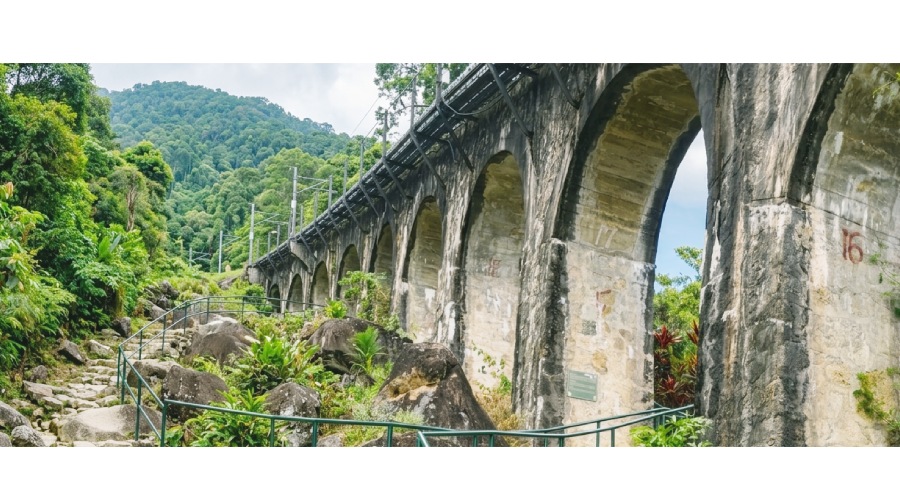 比起寬廣平緩的柏油路，遺產小徑更像是一場與原始森林的肉搏
